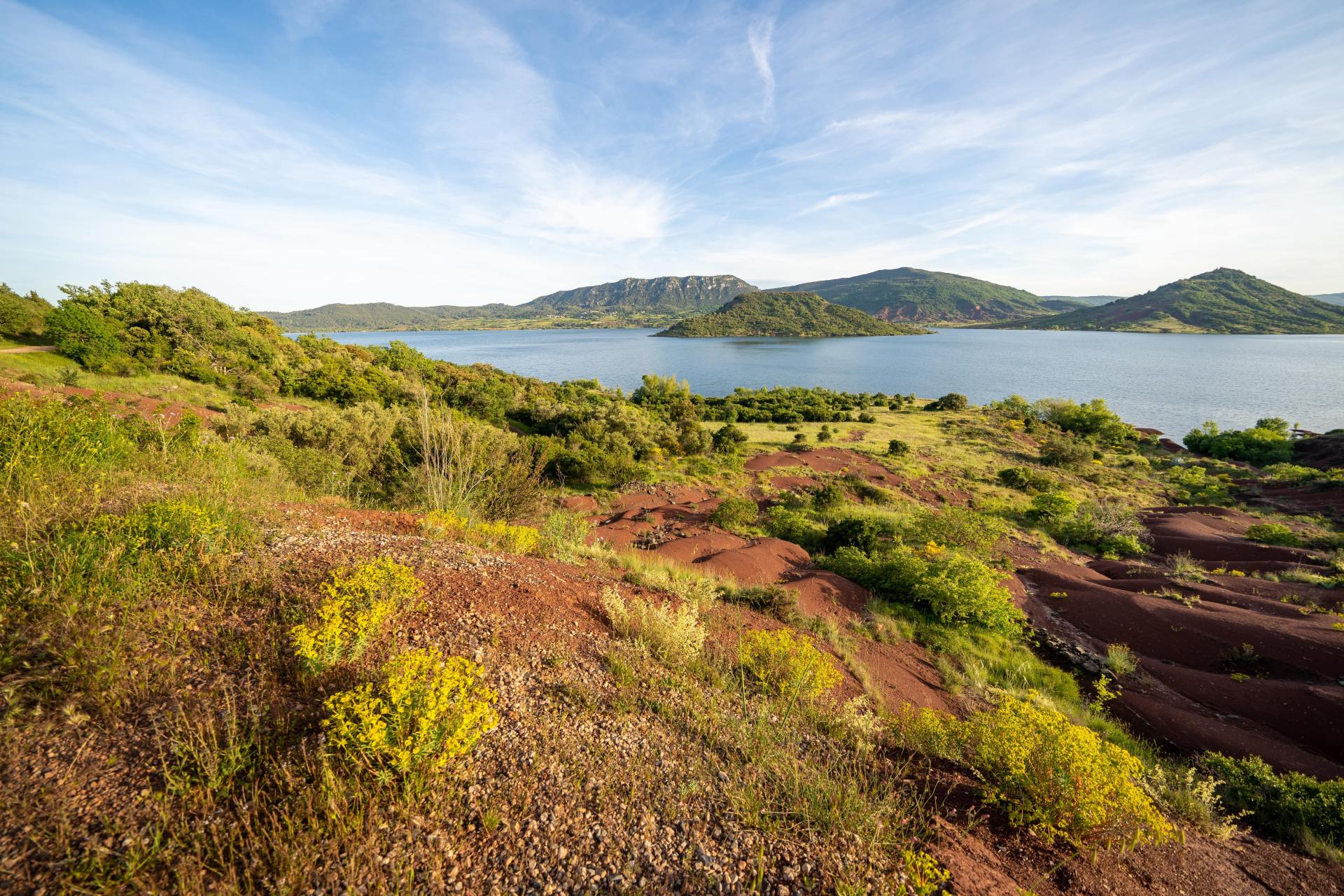 Photo Union Economique Coeur d'Hérault